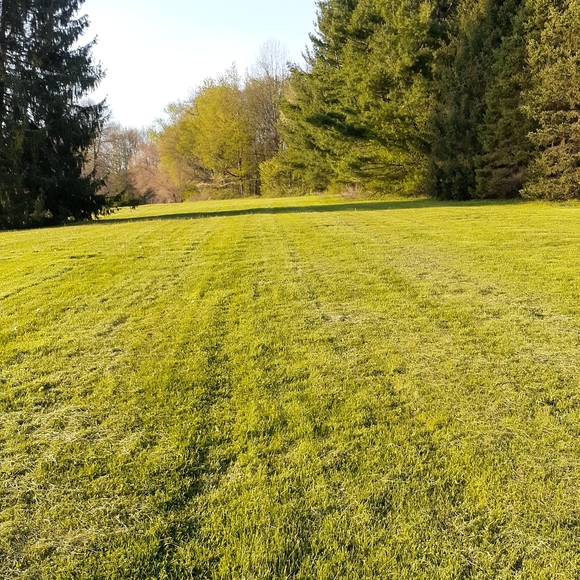 Meet your Posher - Picture 6 of 8